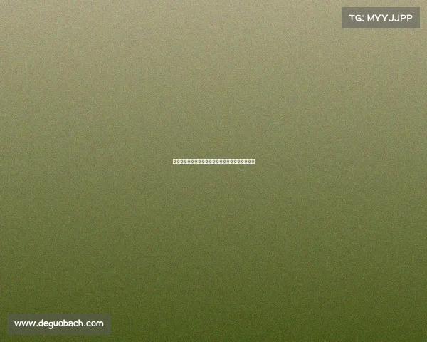 国际赛事英文播报激情声音艺术与专业传播魅力展现